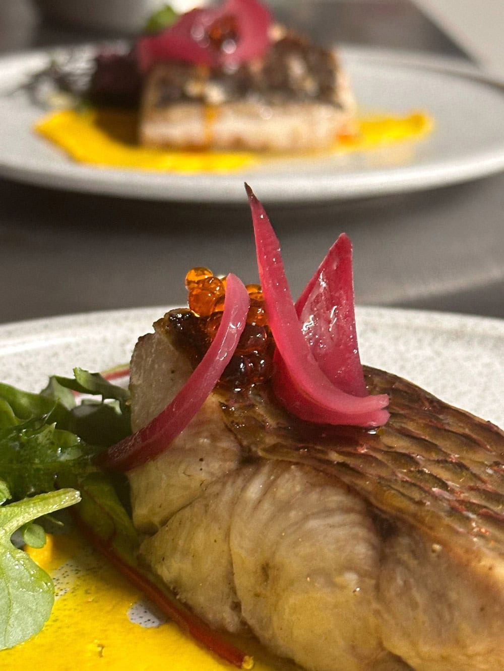 Gegrillter Fisch mit roter Zwiebel und Beilage auf weißem Teller, lebendige Farben.