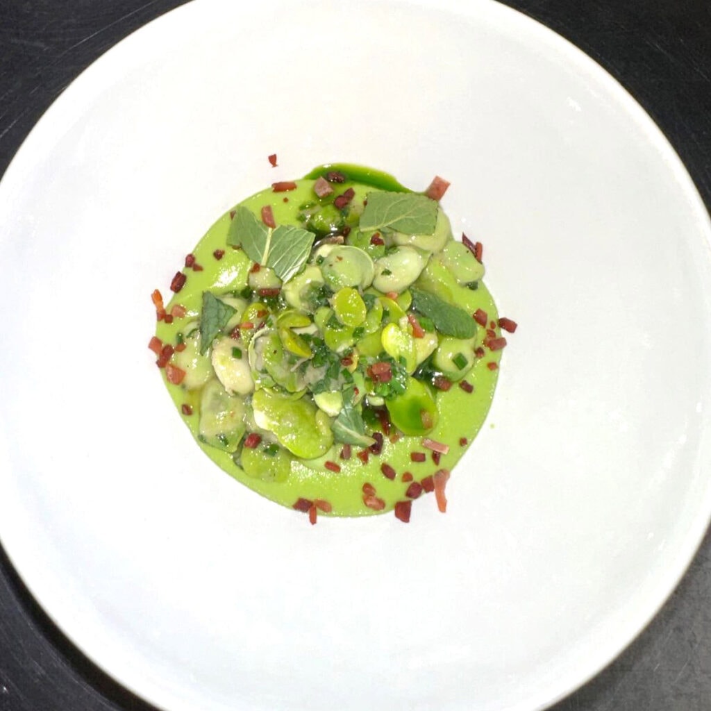 Ein Teller mit grünen Bohnensalat, roten Garnierungen und Kräutern auf weißem Hintergrund.